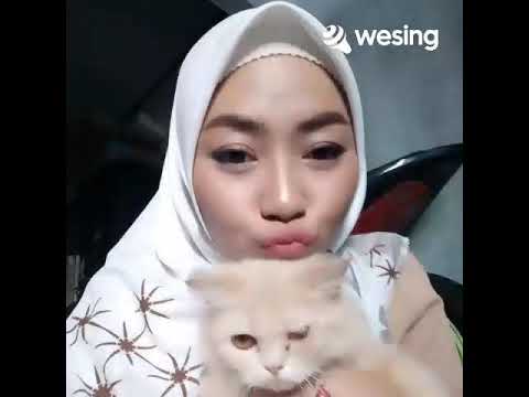 Layang Sworo - YouTube