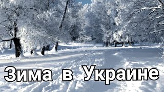 Снег в Украине #украина #україна #зима