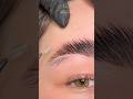 Brow Lamination Waxing Hack Browlamination Brows Browtips Browwax Browwaxing Browcourse 