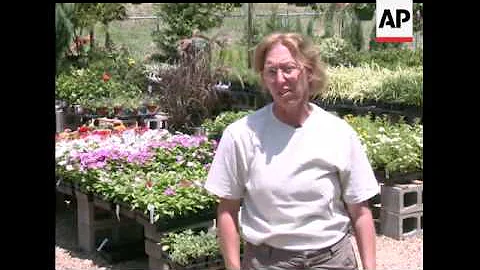 Surveillance video at a Dallas-area store caught the theft of several dozen plants, flowers and smal