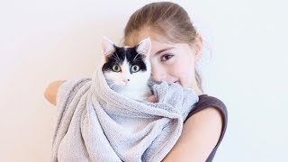 ON DONNE UN BAIN À NOTRE CHAT : POURQUOI ET COMMENT ON DONNE LE BAIN À COOKIE  / CONSEILS ET ASTUCES