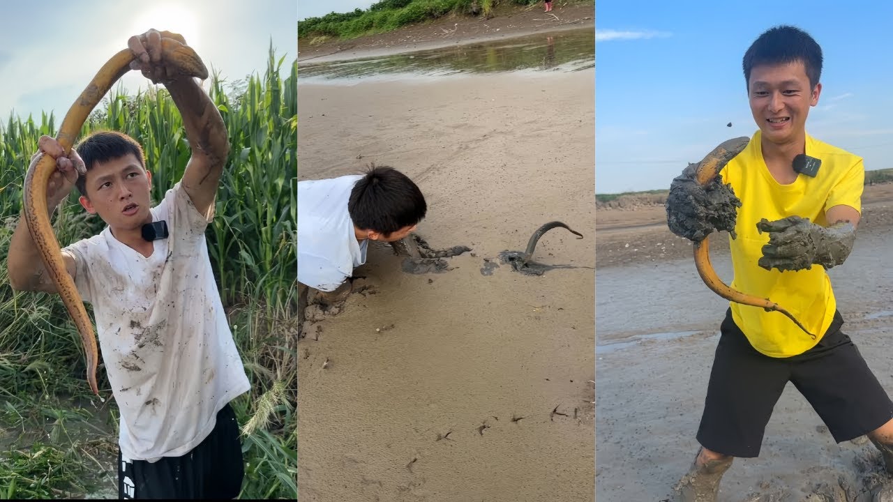 水猴子花800元包塘抓黄鳝，捡漏才是盘老板的精髓！