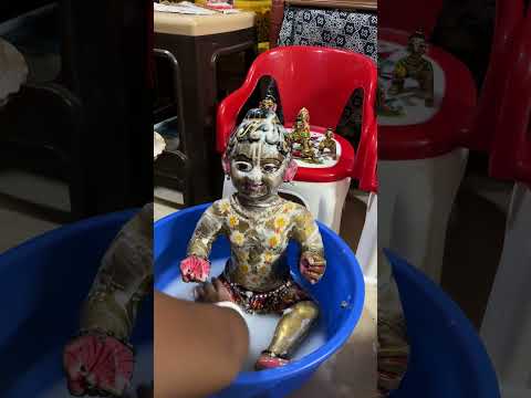 laddu Gopal shan darshan 🌸🙏❤️#krishna #radhakrishna #radheradhe #shorts #viral #trending #youtube