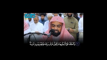 ناصر القطامي في ليفربول _ سورة الحاقة