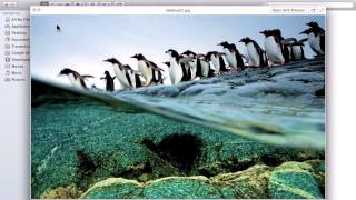 Hidden Wallpaper OSX Mountain Lion screenshot 5