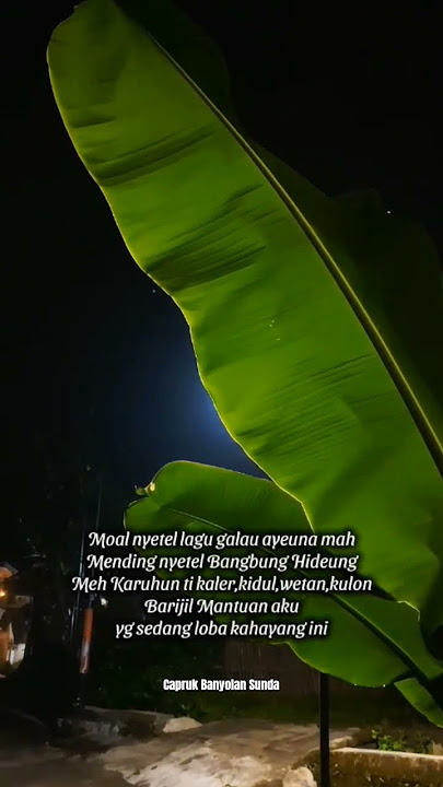 Bangbung Hideung vs Karuhun #sunda #storywa #shortvideo