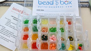 Organizing the June 2024 Dollar Bead Box & Bag