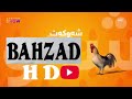  شه و كه ت خه له كا 22  