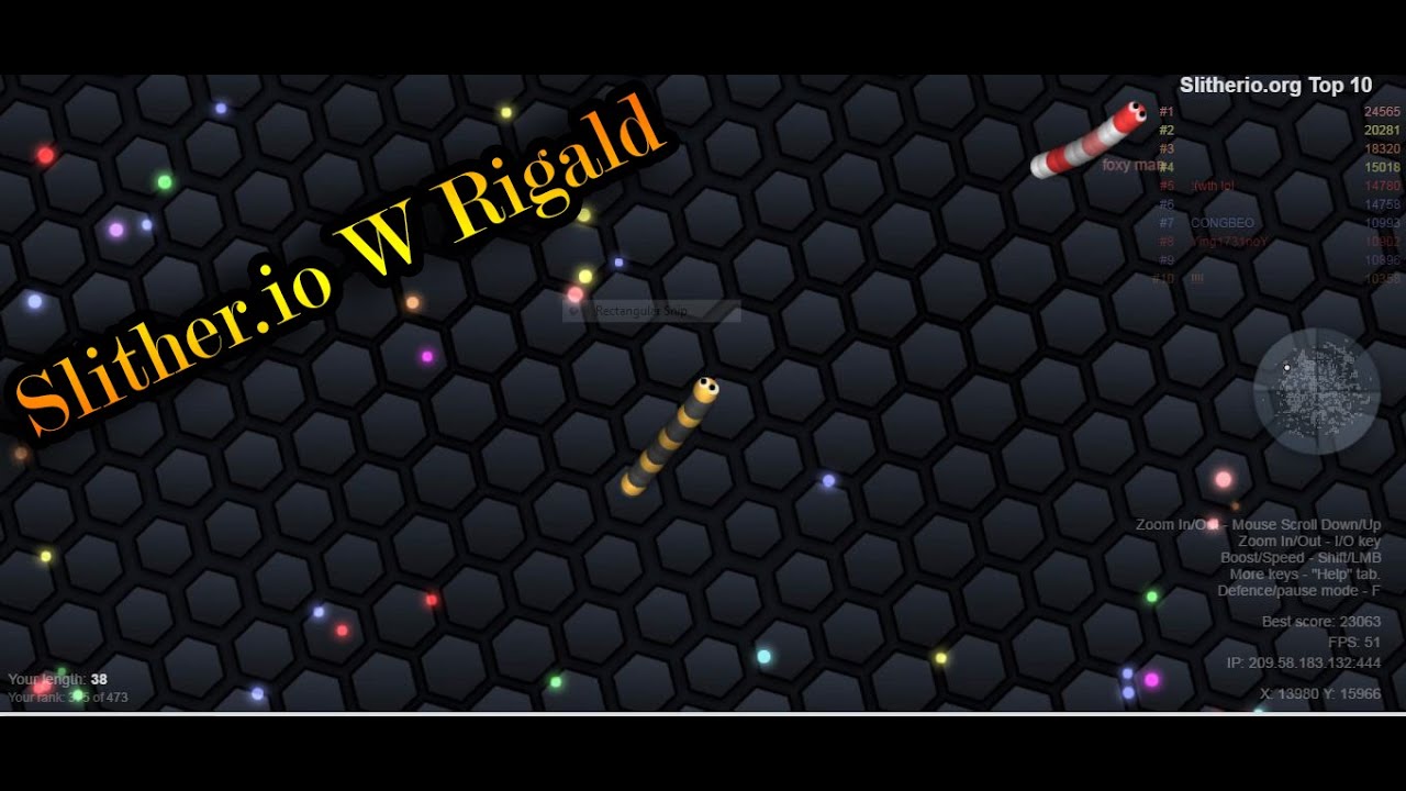 How Tall You Can Survive Slither io w Rigald