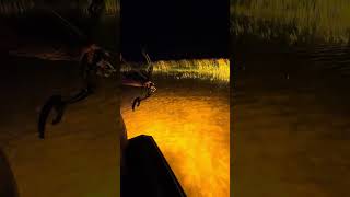 Caleb-Bow Fish Miss