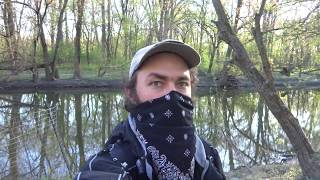 World Migratory Bird Day: LaBagh Woods