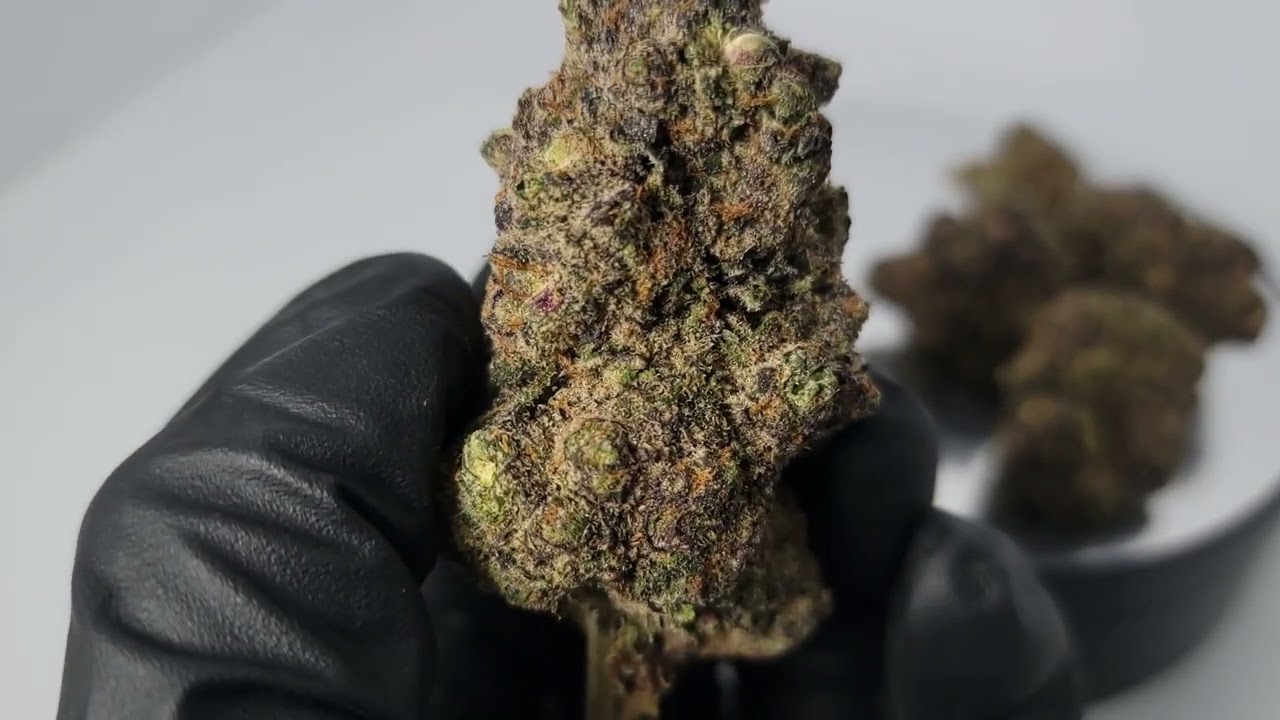 Baked Bro Farms - Alabama Slama - Premium Hybrid Hemp Flower (35.99% THCA)