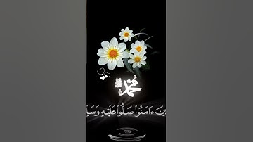 صباح الخير 🤍حالات واتس اب مقاطع قصيره🤍 قران كريم إن الله وملائكته يصلون على النبي🤍ستوريات بدون حقوق
