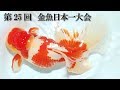 第25回　金魚日本一大会　（金魚品評会　弥富）