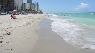 Florida's record-breaking tourism numbers comes with the potential for carbon emissions and dama...