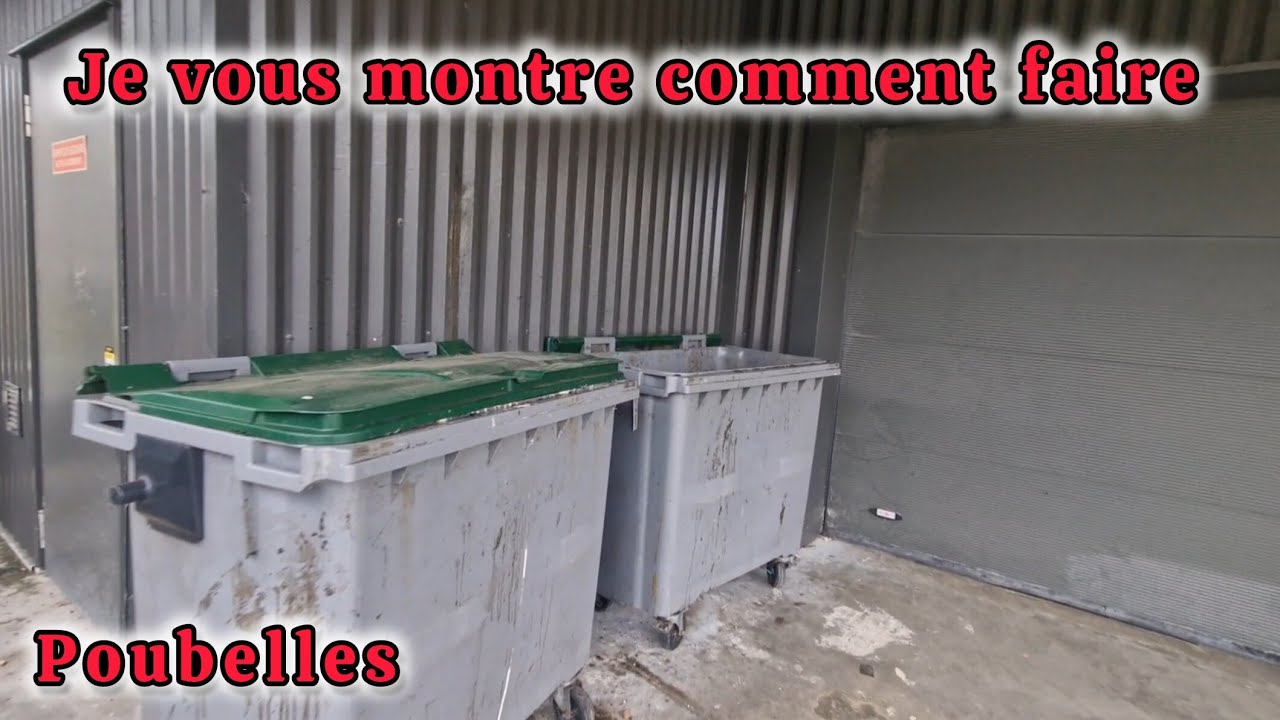 Je vous emmène avec moi faire les poubelles (c'était pas le meilleur tour de ma vie) 🤣