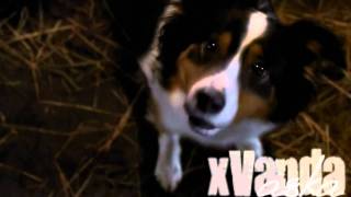 Delgado Jessie Jump Then Fall