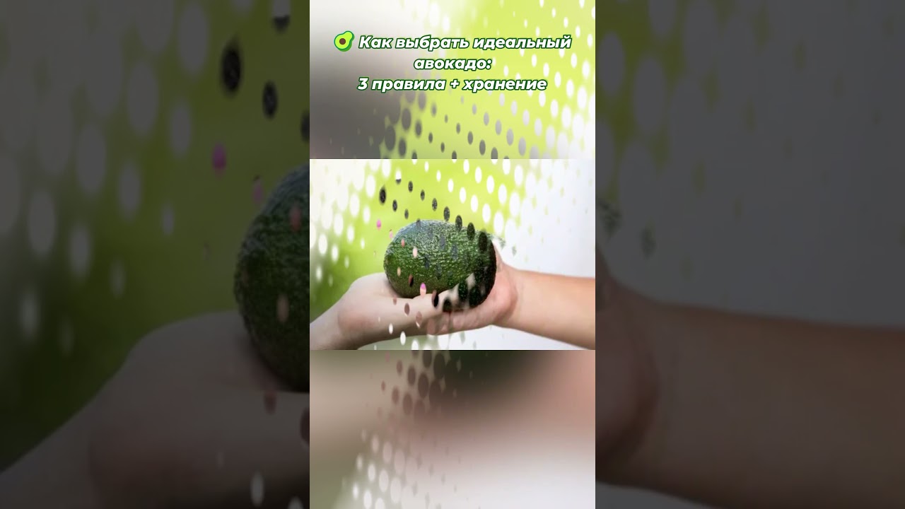 🥑 Как выбрать идеальный авокадо #shorts #avocado #eat #fruits #факты #хассп