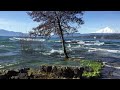 Lago Villarrica, Zona de Humedal.