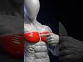 TCan't Grow Your Chest? Do These 3 Exercises! 💪🔥