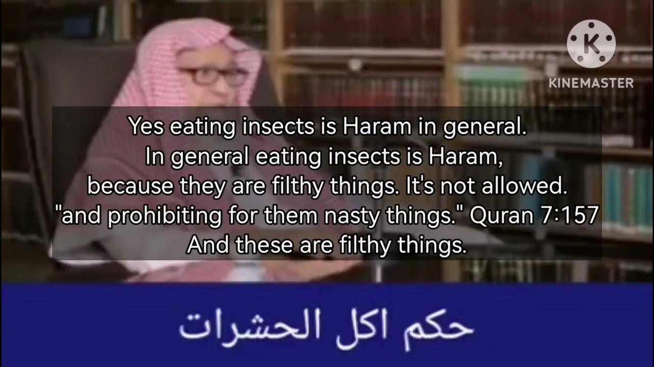 is-it-haram-to-eat-raw-meat-in-islam-youtube