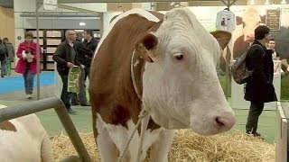 Moderna, biologica e pronta ad assumere. L'agricoltura in mostra a Parigi - focus