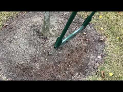 Video: Improving Soil Around Trees: How To Loosen Compacted Soil Around Trees