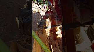cooks hd32 thin kirf#sawmill cooks hd32 thin kirf#sawmill