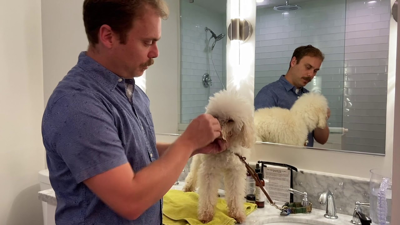 Tips & Tricks on Keeping a Stain Free Face with Eye Envy Tear Stain Remover