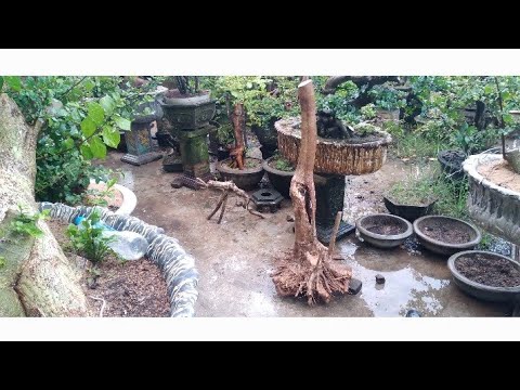 Video 26 tháng 10, 2022.glae phoi bạch sơn liễu to.hồng quân... - youtube