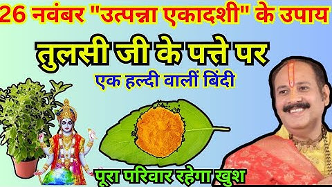 26 नवंबर उत्पन्ना एकादशी आज के दिन उत्पन हुई थी तुलसी जी के पत्ते पर हल्दी की बिंदी