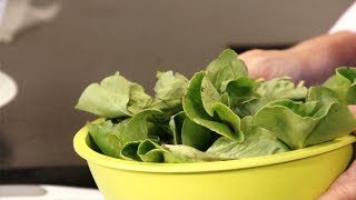 How to Wash Leafy Greens