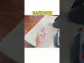 本以为自己是个王者,实际是个塑料#遥控 #模型 #RC #私房钱