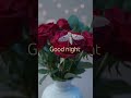 good night