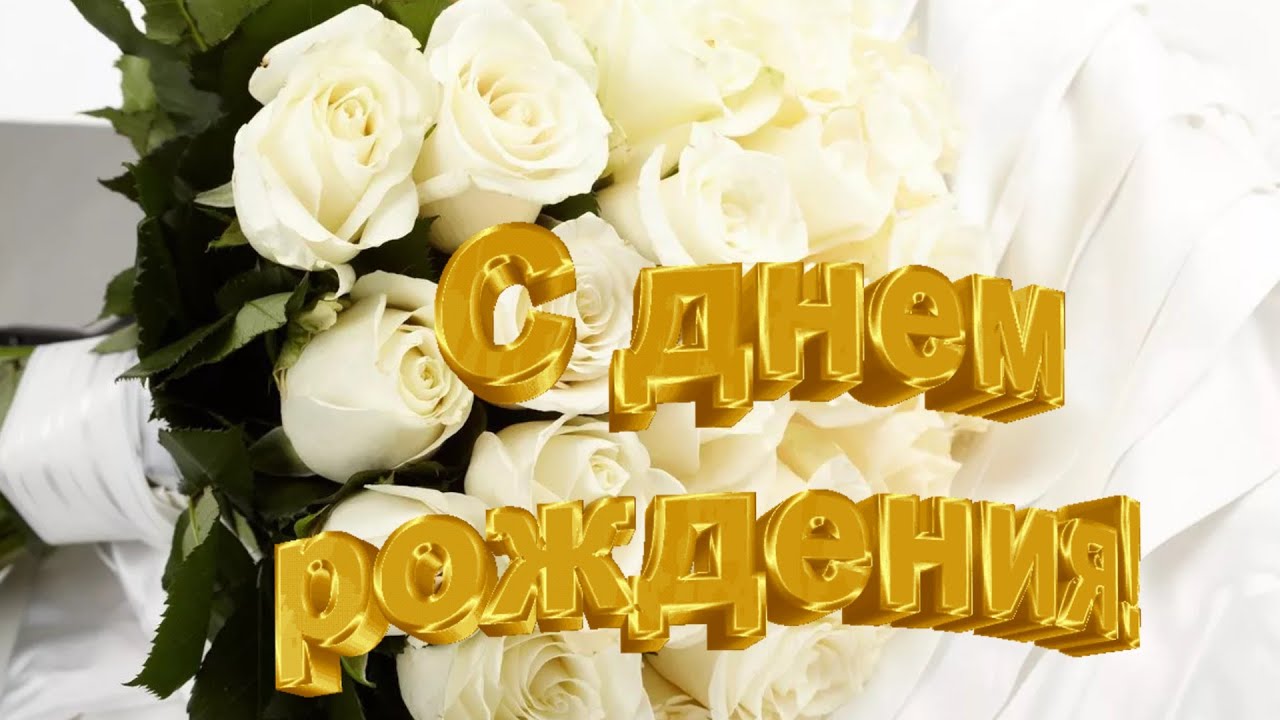 Роскошное Поздравление С Днем Рождения Видео Роскошное Поздравление С Днем Рождения Видео