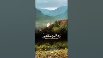 تلاوةخاشعة قرأن كريم راحة نفسية #elmulquranعلم #قران_كريم #اكسبلور #المصحف #تلاوة