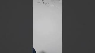 Тест мотобуксировщика IKUDZO EKR 15 v2.0 в глубоком снегу #shorts
