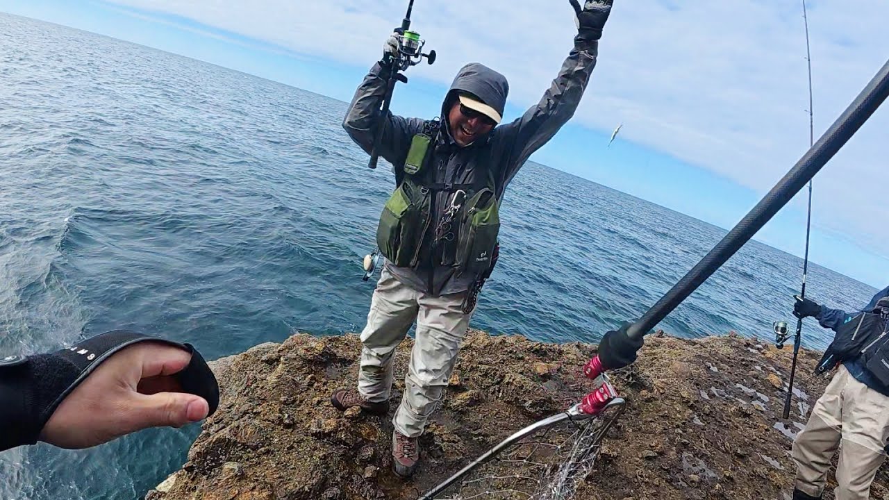 【海サクラ】今年もこの季節がやってきた