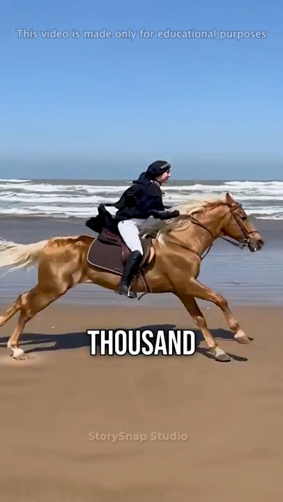 The World’s Most Expensive Horses🐎💰