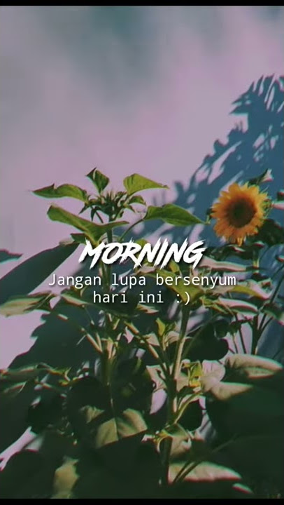 STORY WA KEREN SELAMAT PAGI I|I STATUS WA PAGI HARI KEKINAN LAGU BARAT SLOW 2020 - DIPON STORY