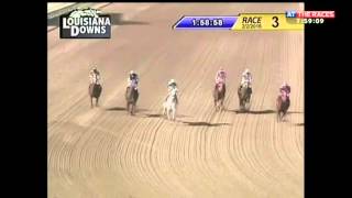 The shortest horse race in the world? screenshot 5