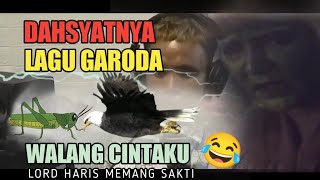 Dahsyatnya lagu garoda walang cintaku.mak lampir tak berdaya