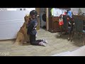 2人だけの時間を覗いてみたら、娘が愛犬のことが大好きなのがわかった