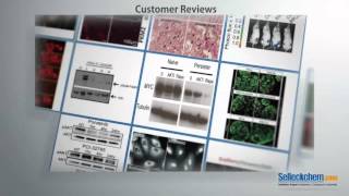 About Selleck Chemicals About Selleck Chemicals