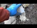 わな猟日誌(その2)