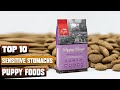 Best Puppy Foods for Sensitive Stomachs in 2024 (Top 10 Picks)