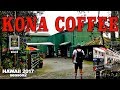 ＜ハワイ＞コナコーヒー『マウンテンサンダー農園』に行って来たよ！コストコも紹介するよ。