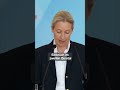 Wirtschaftskrise Deutschlands Schwarzer Freitag dank Politik