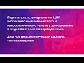 Перинатальные поражения ЦНС гипоксически-ишемического и геморрагического генеза