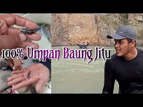 Video: Cara Memasang Umpan Hidup